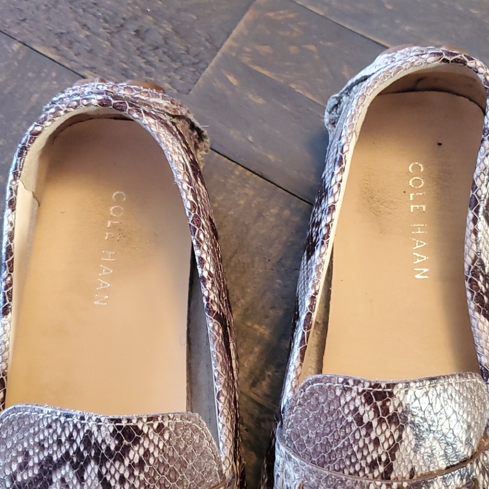 Shoes - Picture 3 of 5